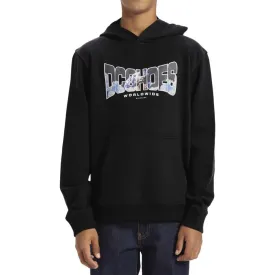 dc-shoes-astro-ph-kapuzenpullover