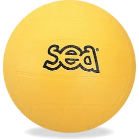 sea-初学者排球