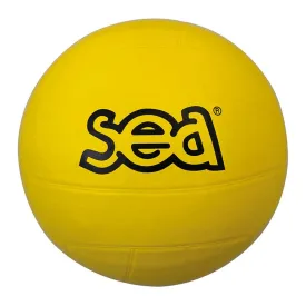 sea-multi-voetbal