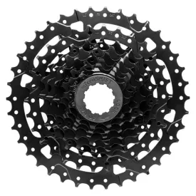 microshift-cassetta-acolyte