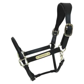 kentucky-licol-leather-anatomic