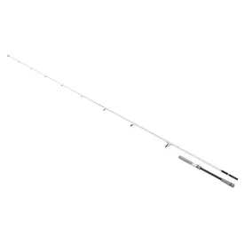 shimano-fishing-stradic-seabass-spinnestang