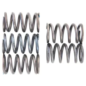 trw-mef123-5-clutch-spring-kit