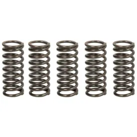 trw-mef304-5-clutch-spring-kit