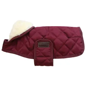 kentucky-original-dog-jacket