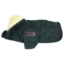 kentucky-chaqueta-para-perro-original