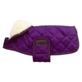 kentucky-original-dog-jacket