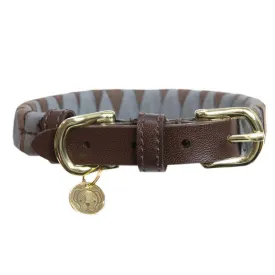 kentucky-collier-de-chien-triangle