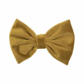 kentucky-fluga-i-sammet