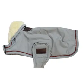 kentucky-wp-dog-jacket