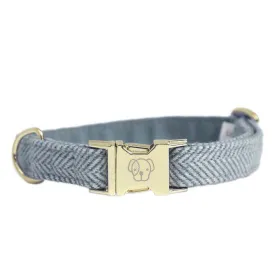 kentucky-collier-de-chien-wool