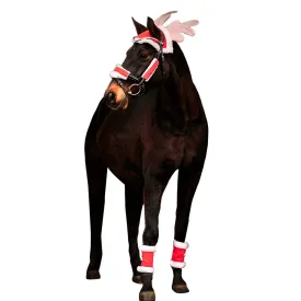 waldhausen-set-de-caballo-de-navidad