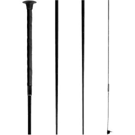 waldhausen-touchier-pisk