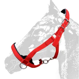 zaldi-extra-strong-nylon-grimmor