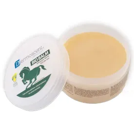 dermoscent-bio-pferdebalsam-200ml