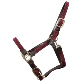 kentucky-plaited-nylon-halfter