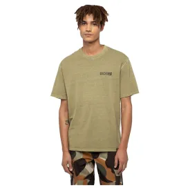dickies-high-flying-반팔-티셔츠