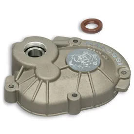 malossi-protetor-carter-mhr-piaggio-50