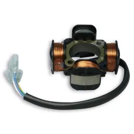 malossi-vespower-5515476b-stator