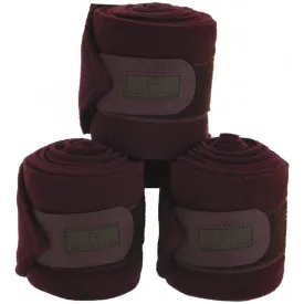 equitheme-polo-verbande