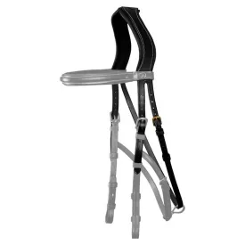 dyon-testera-hackamore-d-collection