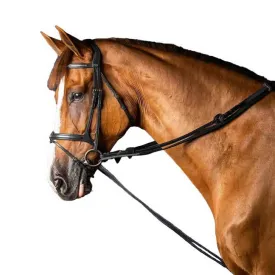 dyon-new-english-collection-leather-nylon-5-8-draw-reins