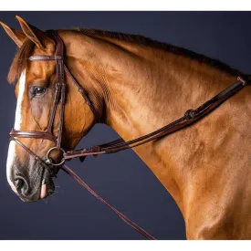 dyon-new-english-collection-leather-nylon-5-8-draw-reins