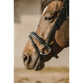 eric-thomas-bat-bridle