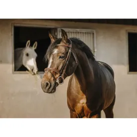 eric-thomas-bridon-crown