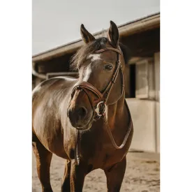 eric-thomas-visby-bridle