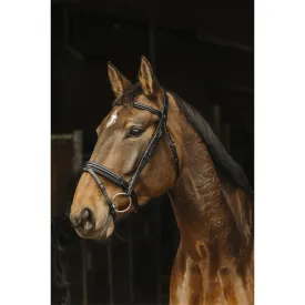 norton-equestrian-cabecada-apophyse