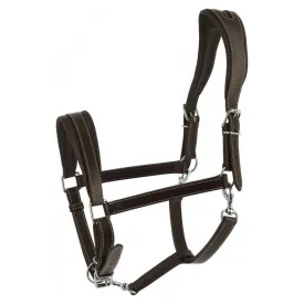 norton-equestrian-capezza-ardennais