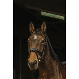 norton-equestrian-dark-trense