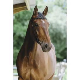 norton-equestrian-freedom-suitset