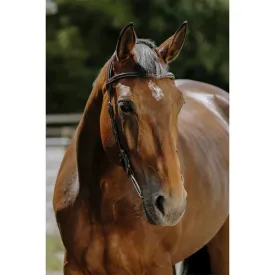 norton-equestrian-freedom-hovedtoj