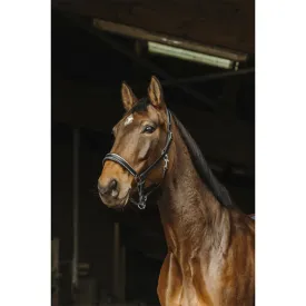 norton-equestrian-rock-leather-grimmor