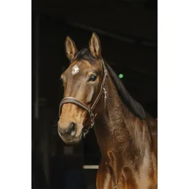 norton-equestrian-capezza-rock-leather