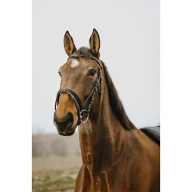 norton-equestrian-strass-v-trans