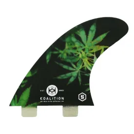 koalition-derive-the-cbd