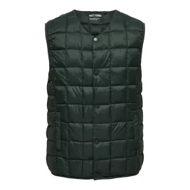 only---sons-gavin-light-ベスト