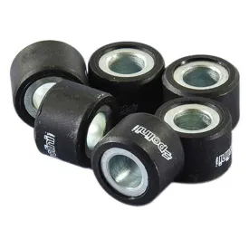 polini-242.431-19gr-variatorruller