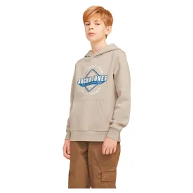 Sweat Capuche Pepe Jeans Nolan Garçon - Coton Durable Et Confortable
