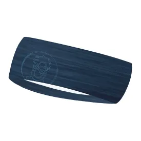 trollkids-cinta-para-la-cabeza