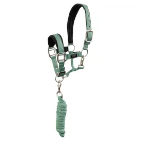 br-cabecada-e-guia-mini-horse