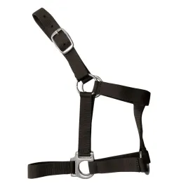 zaldi-capezza-0278-nylon