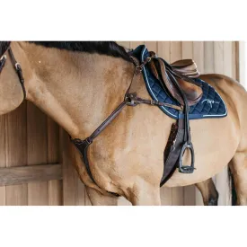 dyon-pitral-d-collection-5-points-with-elastic