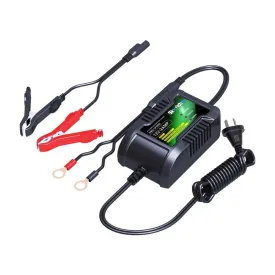 skyrich-12v-2ah-charger