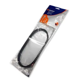 tecnium-mobylette-transmission-belt
