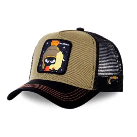 capslab-37316-lippis