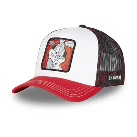 capslab-bug1-ct-pet